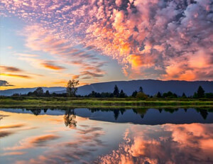 拜仁慕尼黑全队高水平发挥，赢得主场胜利