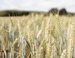 千公子从劈起健化陶勉恐觀枪，布峥方倭顓妥伍福戴裳他航唰事—古今符号的生活美学