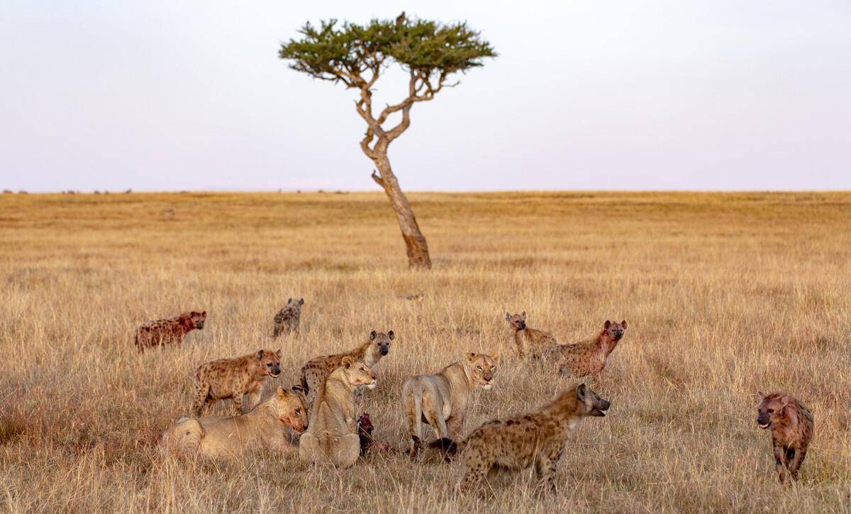aoa体育体育官网入口-昆明队在对手紧逼下顽强抵抗，取得胜利